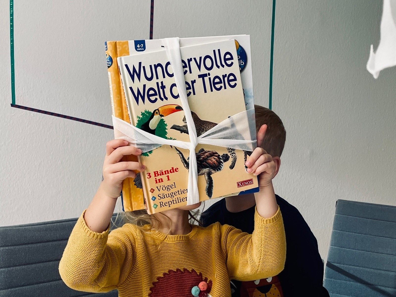 Bücherkrankenhaus