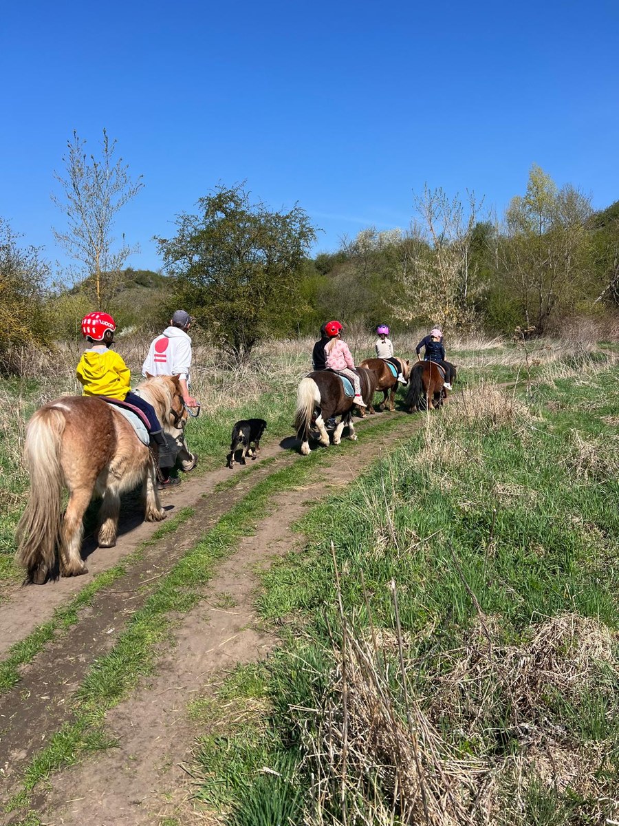 Reiten in der Franzigmark