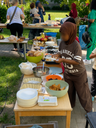 Unser Familien-Picknick in der Kita Fuchs und Elster – Interkulturelle Vielfalt in gemütlicher Runde