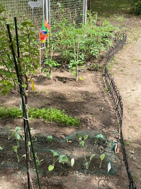 Unsere Kinder gärtnern