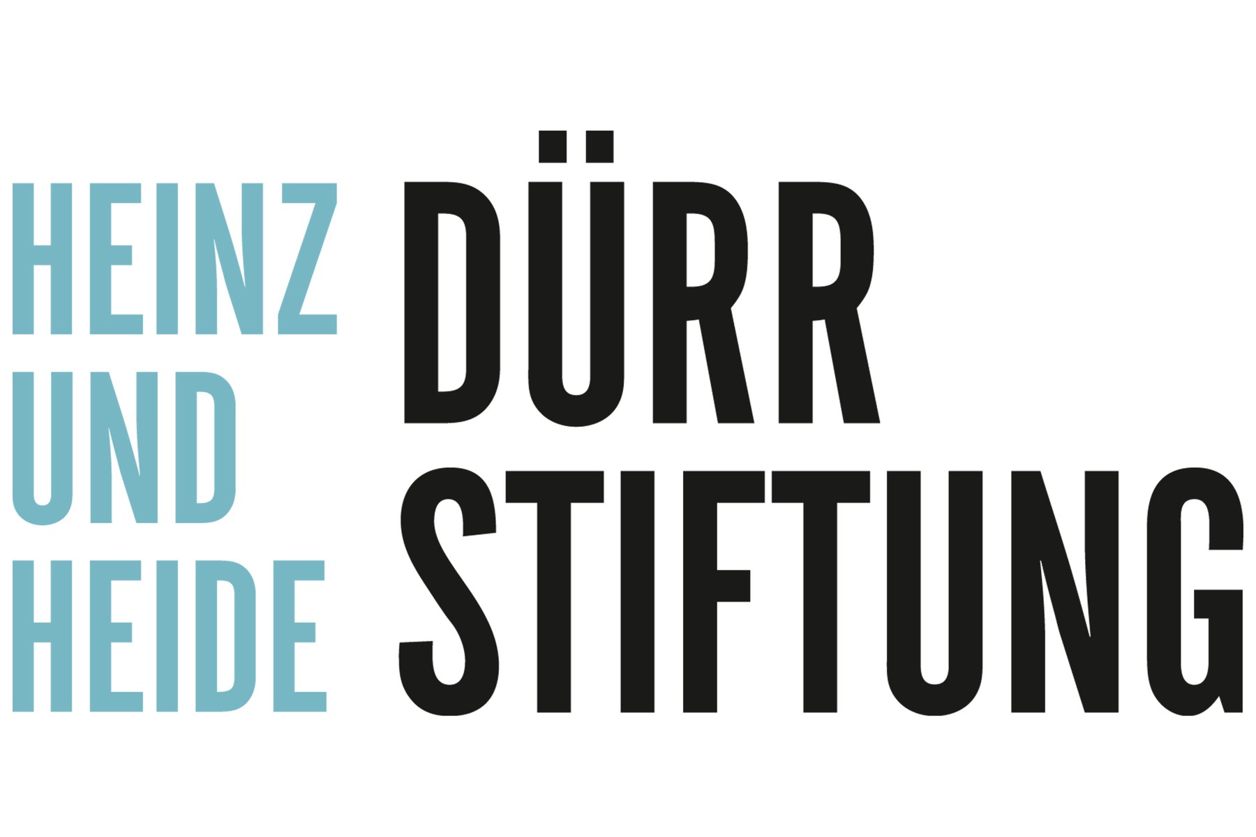 Heinz und Heide Dürr Stiftung Logo